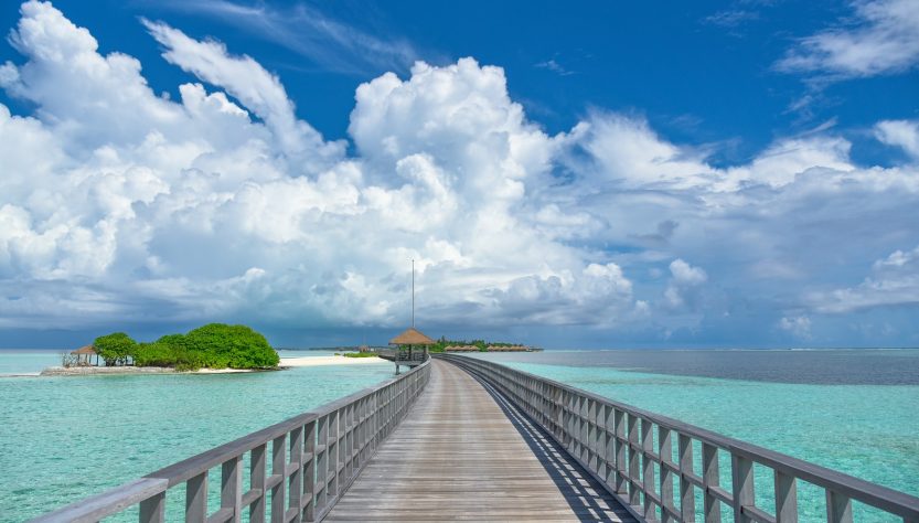 brown wooden dock on blue sea under blue and white cloudy sky during daytime